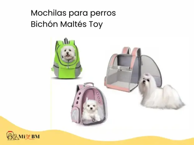 mejores mochilas para perros bichon maltes toy